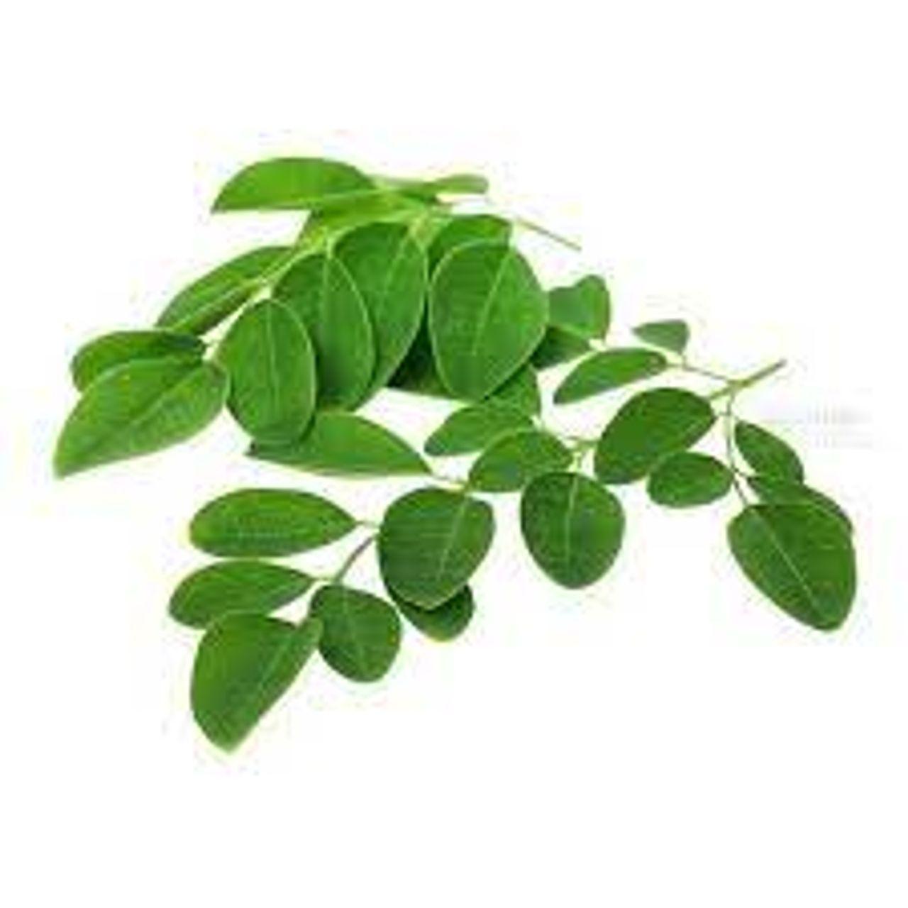 Drumstick Leaves (Moringa)