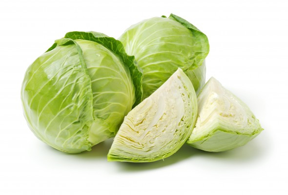 Cabbage