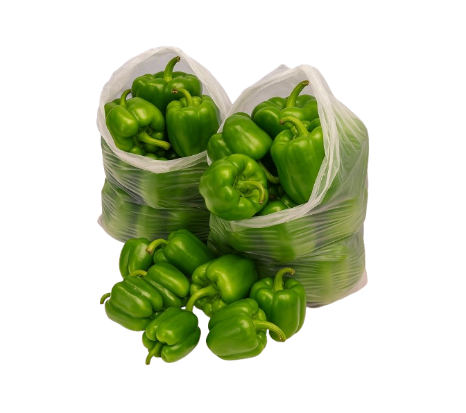 Capsicum Green medium size