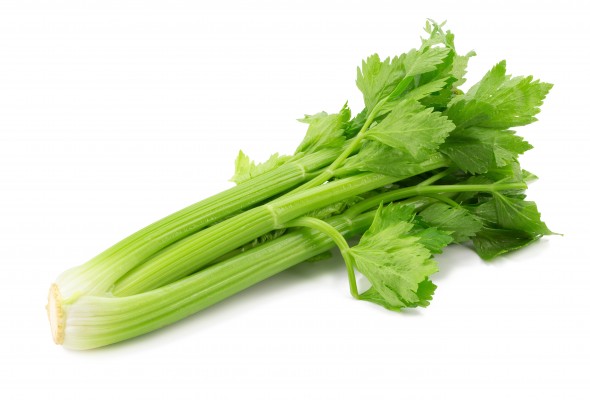 Celery