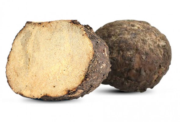 Elephant Yam (Karunai Kizhangu)