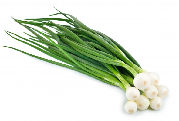 Spring Onion