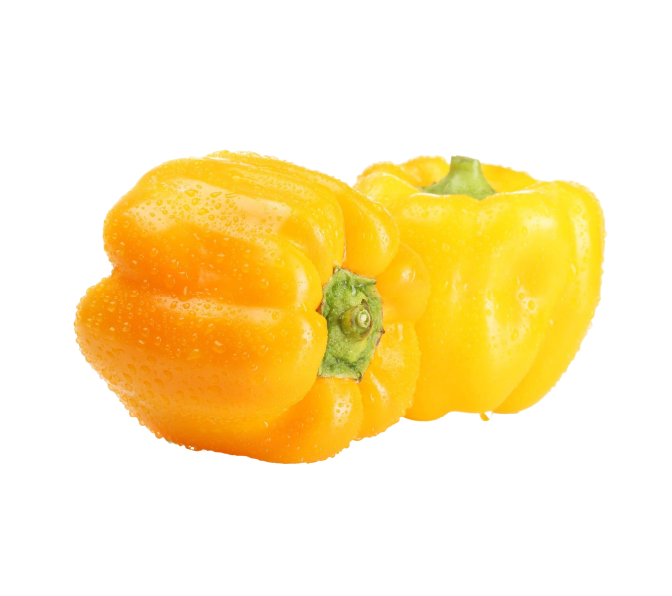 Yellow Capsicum Economy
